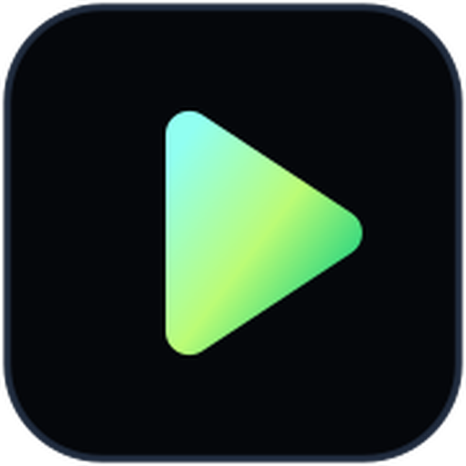 VideoAny logo